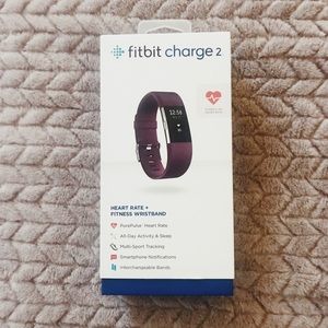 Fitbit charge HR 2 purple large